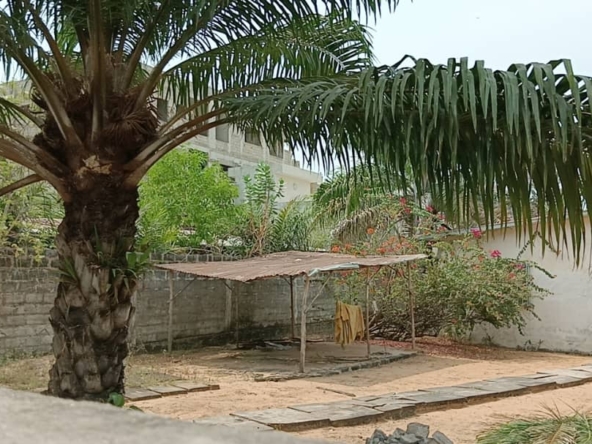 Parcelle à vendre à Cotonou Cocotiers