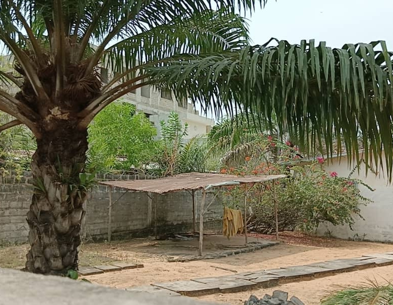 Parcelle à vendre à Cotonou Cocotiers