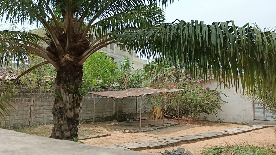 Parcelle à vendre à Cotonou Cocotiers