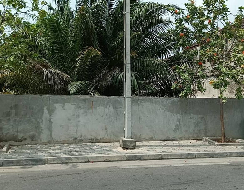 Parcelle à vendre à Cotonou Cocotiers