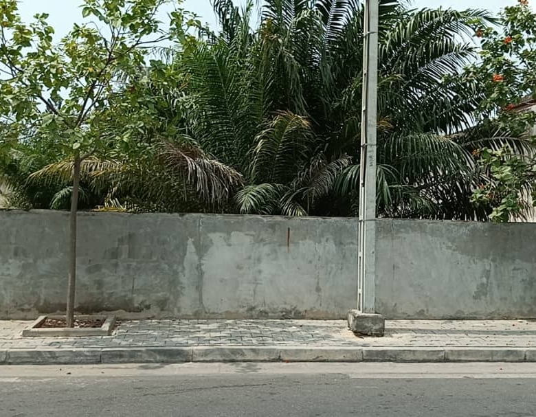 Parcelle à vendre à Cotonou Cocotiers