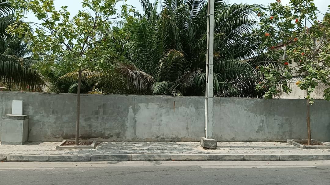 Parcelle à vendre à Cotonou Cocotiers