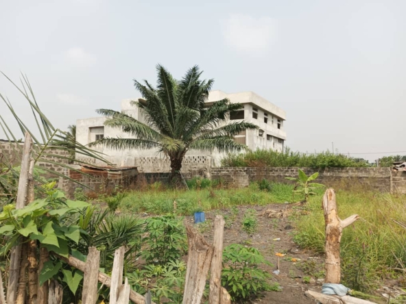 Parcelle à vendre à Cotonou