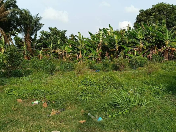 Parcelle à vendre à Abomey calavi Godomey