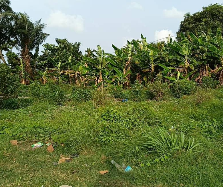 Parcelle à vendre à Abomey calavi Godomey