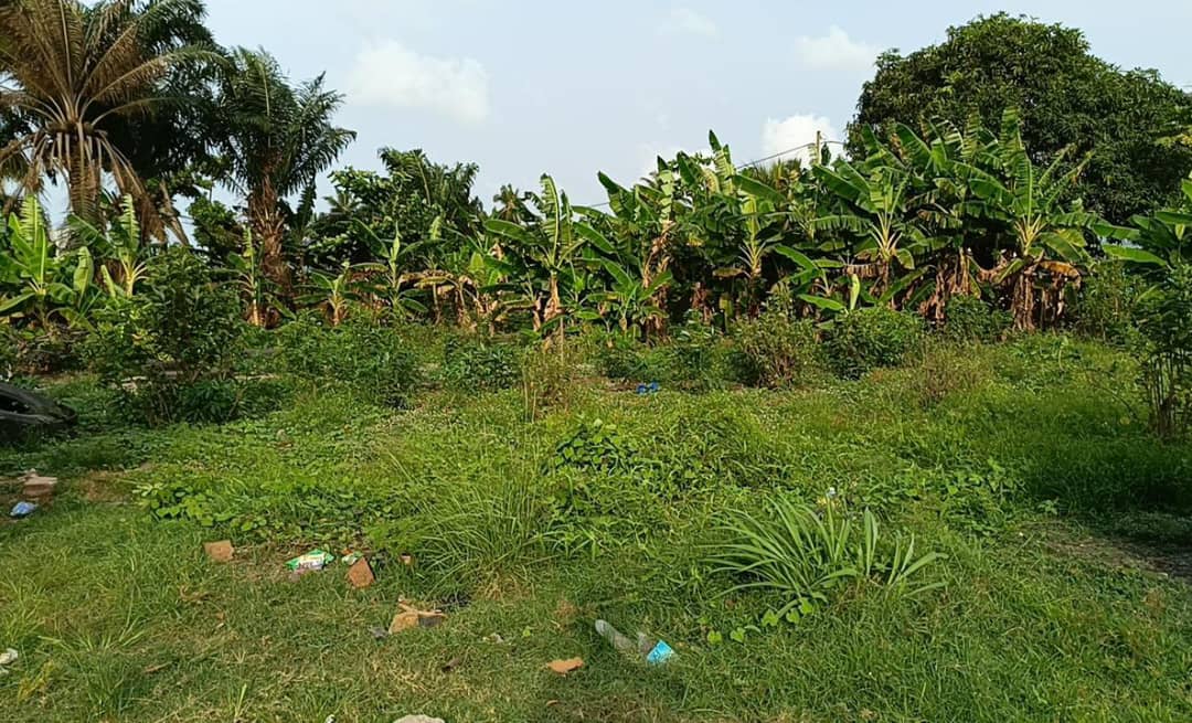 Parcelle à vendre à Abomey calavi Godomey