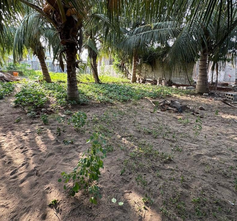 DEUX PARCELLES À VENDRE ENSEMBLE À TOGBIN