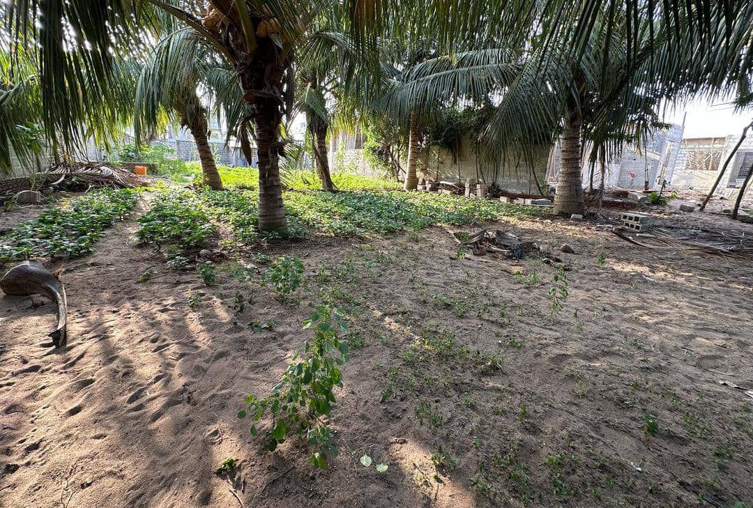 DEUX PARCELLES À VENDRE ENSEMBLE À TOGBIN
