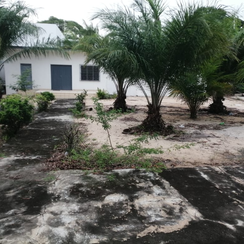 GRANDE PARCELLE A VENDRE A COTONOU DANS LA HAIE-VIVE