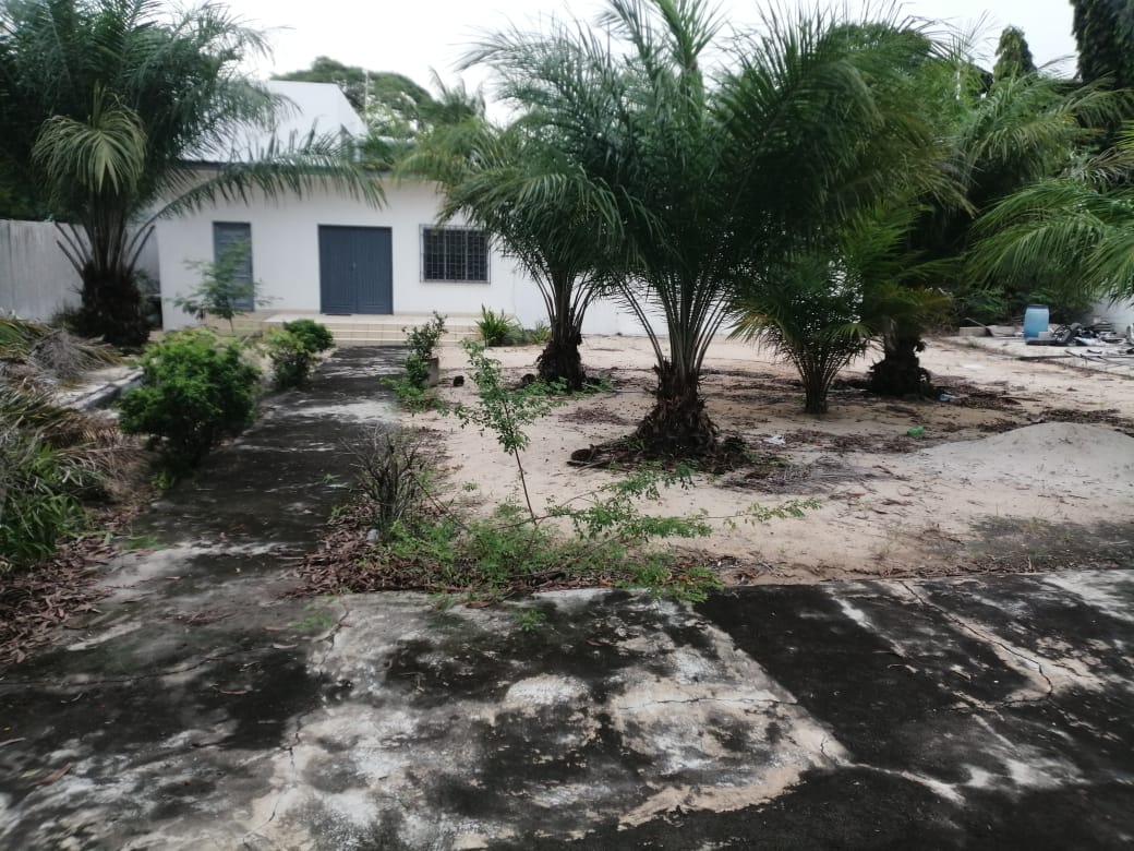 GRANDE PARCELLE A VENDRE A COTONOU DANS LA HAIE-VIVE