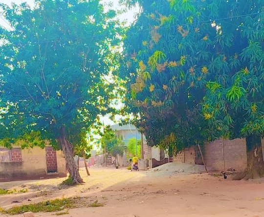PARCELLE À VENDRE A ABOMEY-CALAVI WOMEY