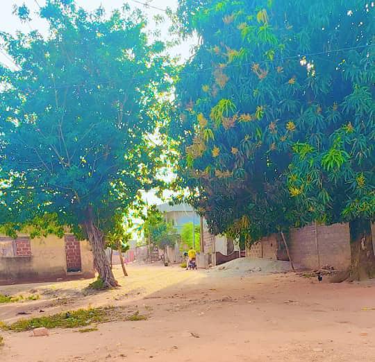 PARCELLE À VENDRE A ABOMEY-CALAVI WOMEY