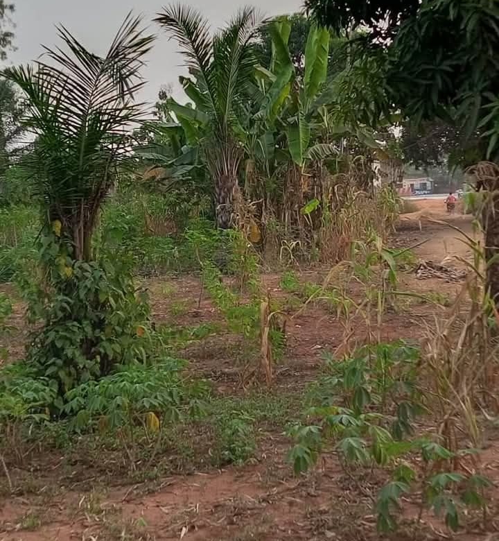 DOMAINE AVEC TF À VENDRE À GLO-DJIGBE