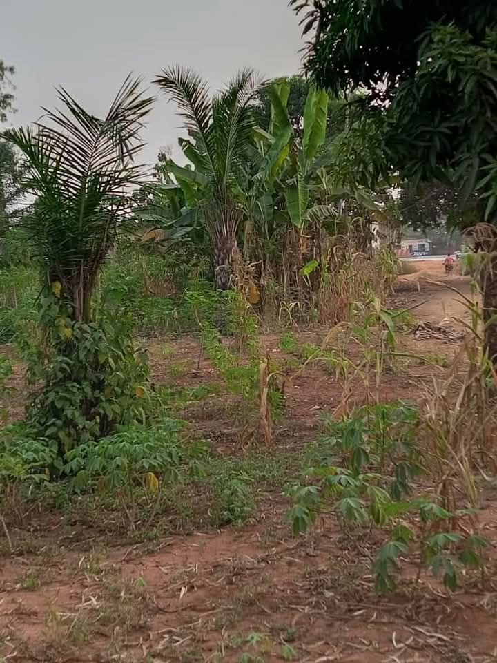 DOMAINE AVEC TF À VENDRE À GLO-DJIGBE