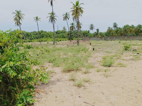 PARCELLES À VENDRE À OUIDAH ROUTE DES PÊCHES