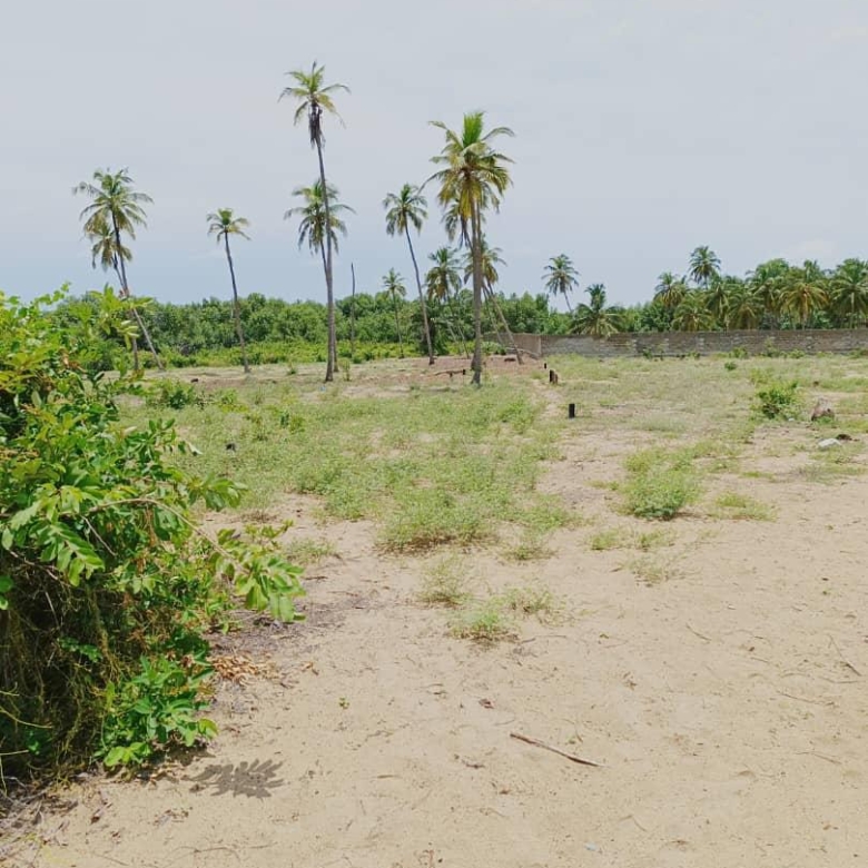 PARCELLES À VENDRE À OUIDAH ROUTE DES PÊCHES