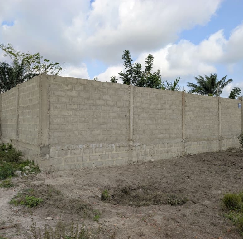 Parcelle à vendre à Pahou Zone 4