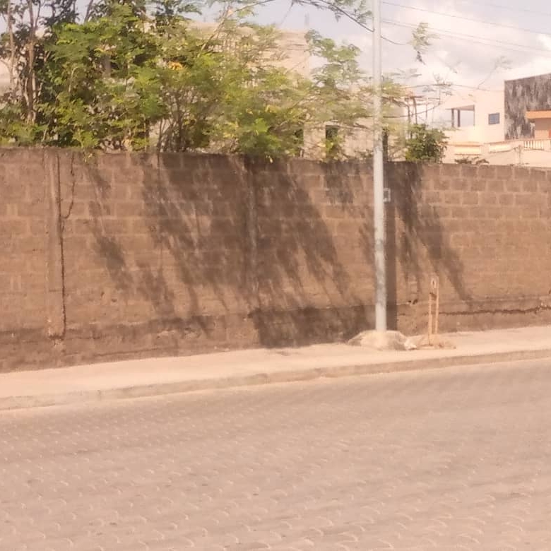 Parcelle à vendre à Togbin Zone 2