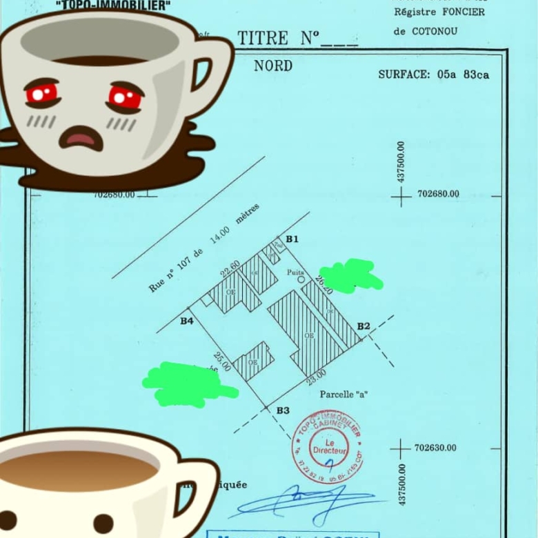 Parcelle à vendre à Cotonou Guinkomey (2)
