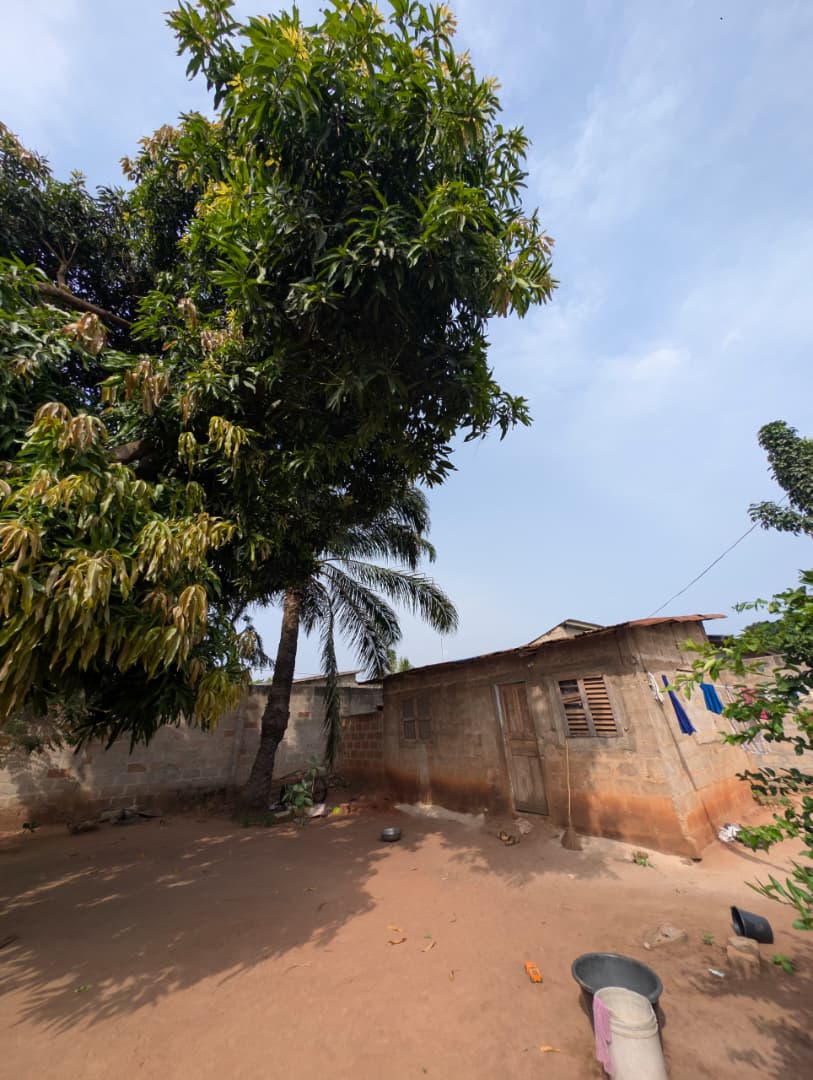 Terrain clôturé à vendre à Abomey-Calavi Womey