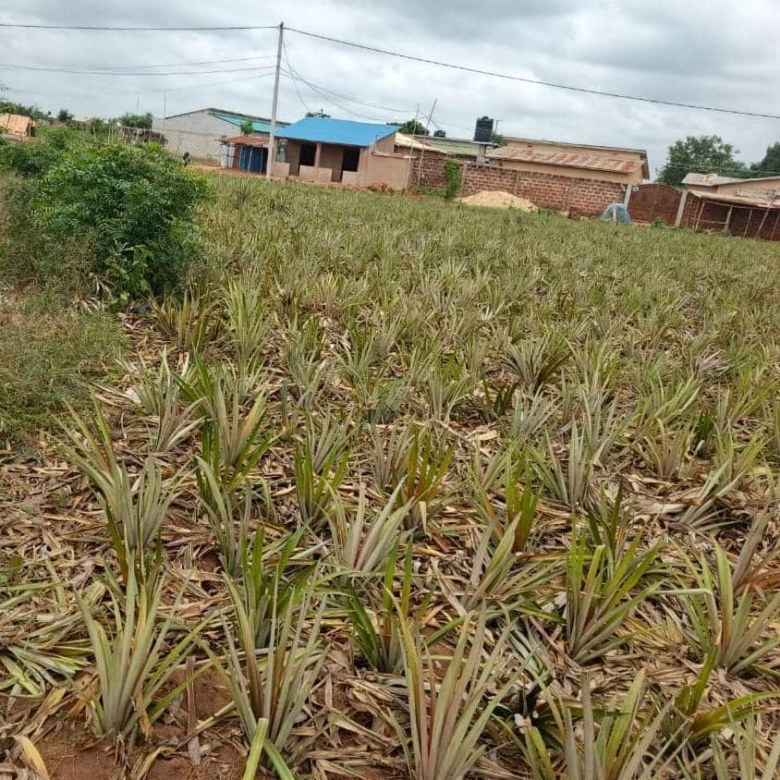 Parcelles à vendre à Abomey-Calavi Hêvié