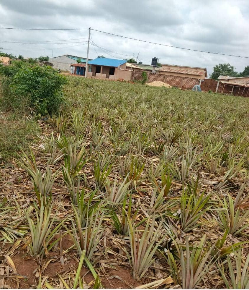 Parcelles à vendre à Abomey-Calavi Hêvié