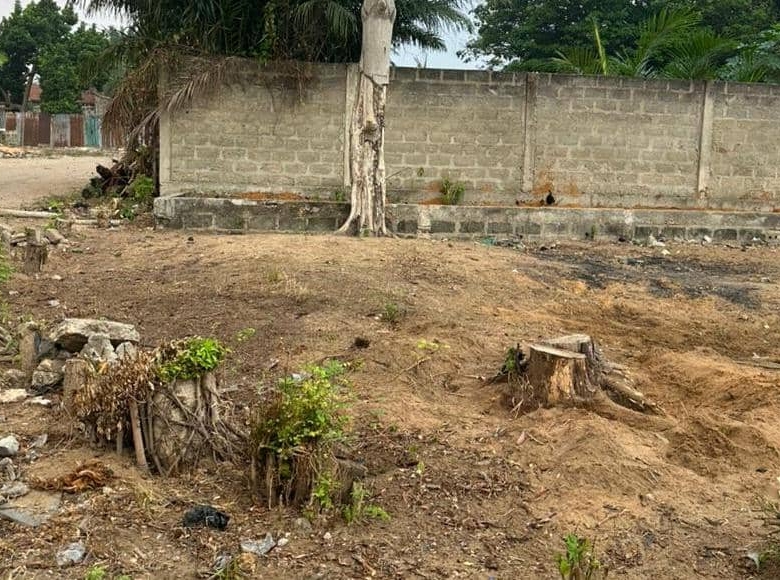 Parcelles à vendre à Cococodji