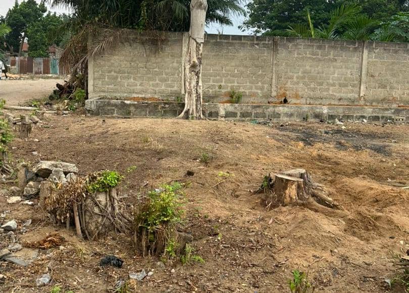 Parcelles à vendre à Cococodji