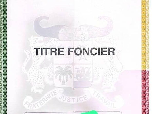 Parcelles à vendre à Cococodji