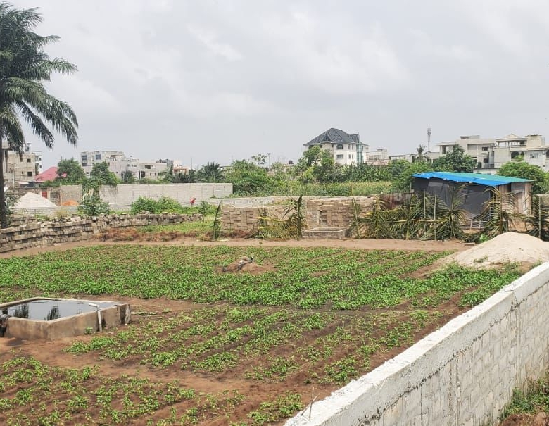 Dix parcelles à vendre à Togbin Plage