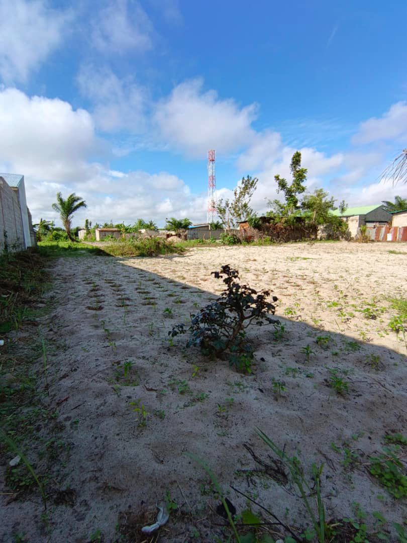Parcelle à vendre à Adounko