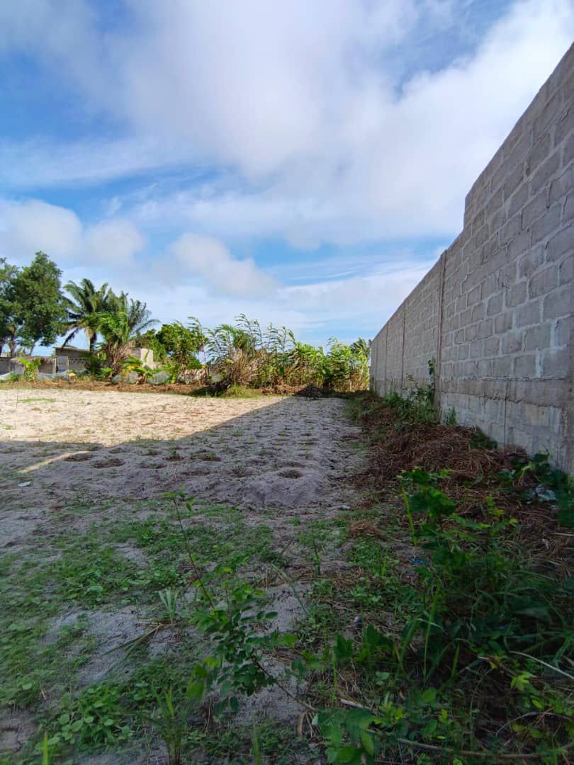 Parcelle à vendre à Adounko