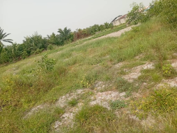 Quatre Parcelles à vendre à Adounko