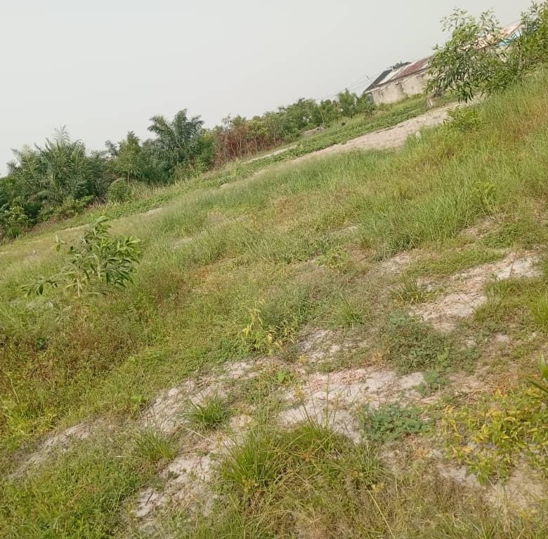 Quatre Parcelles à vendre à Adounko