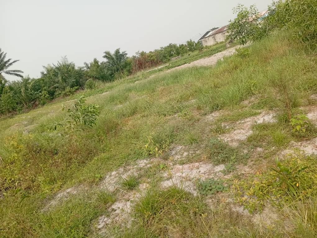 Quatre Parcelles à vendre à Adounko