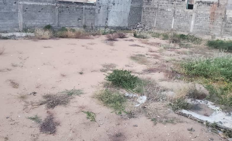 Deux Parcelles à vendre à Cotonou à Fidjrossè Ecole Manuel Talon