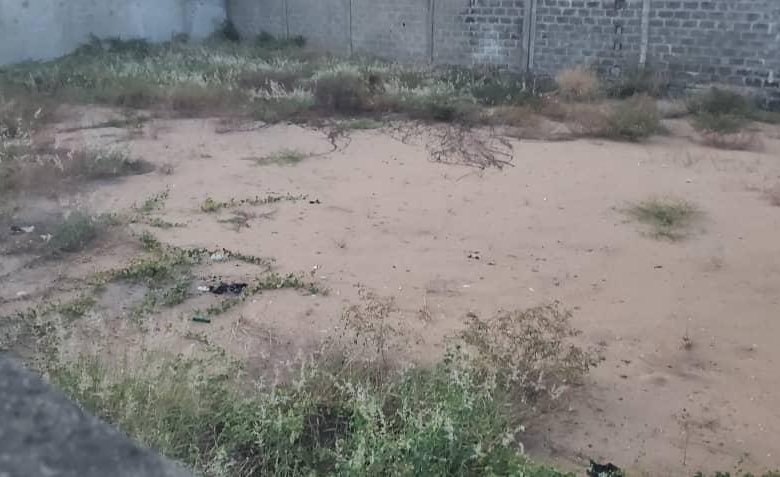 Deux Parcelles à vendre à Cotonou à Fidjrossè Ecole Manuel Talon