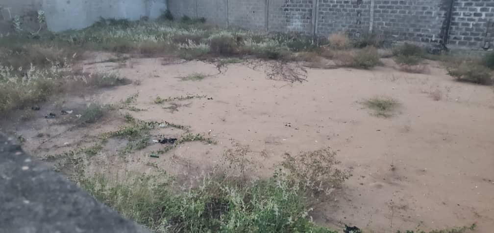 Deux Parcelles à vendre à Cotonou à Fidjrossè Ecole Manuel Talon