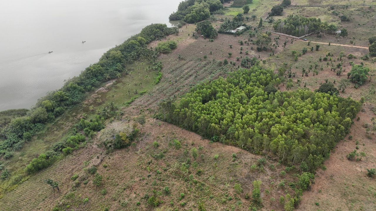 Domaine de 1,7 Hectaare à vendre au bord du Lac Ahémé