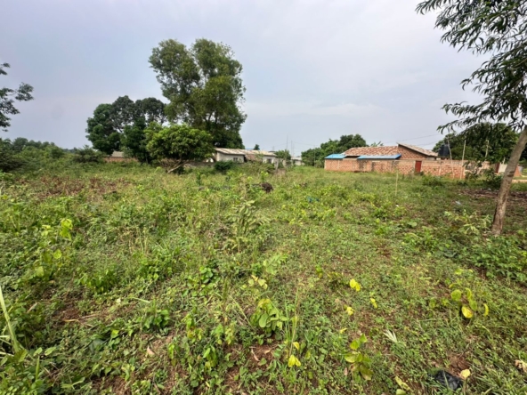 Domaine d'un hectare à vendre à Abomey-Calavi Adjagbo