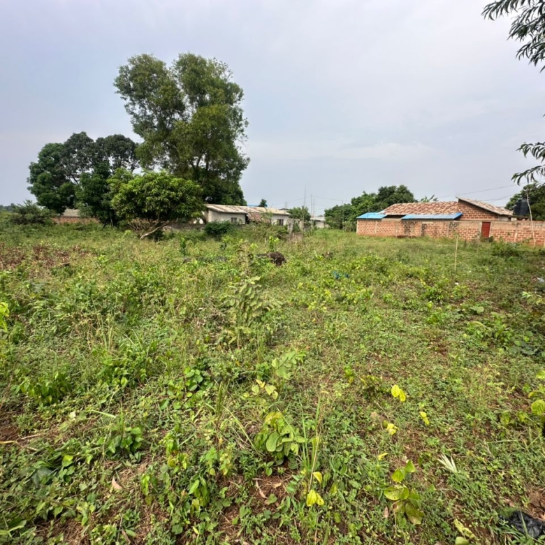 Domaine d'un hectare à vendre à Abomey-Calavi Adjagbo