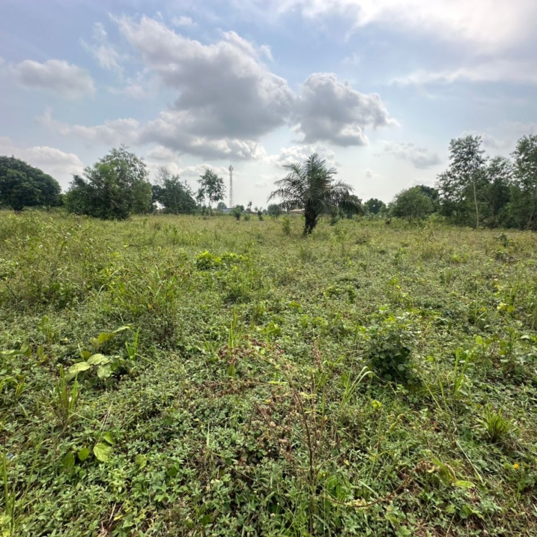 Domaine d'un hectare à vendre à Abomey-Calavi Adjagbo