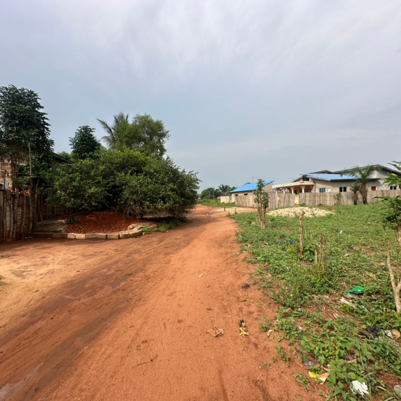 Domaine d'un hectare à vendre à Abomey-Calavi Adjagbo