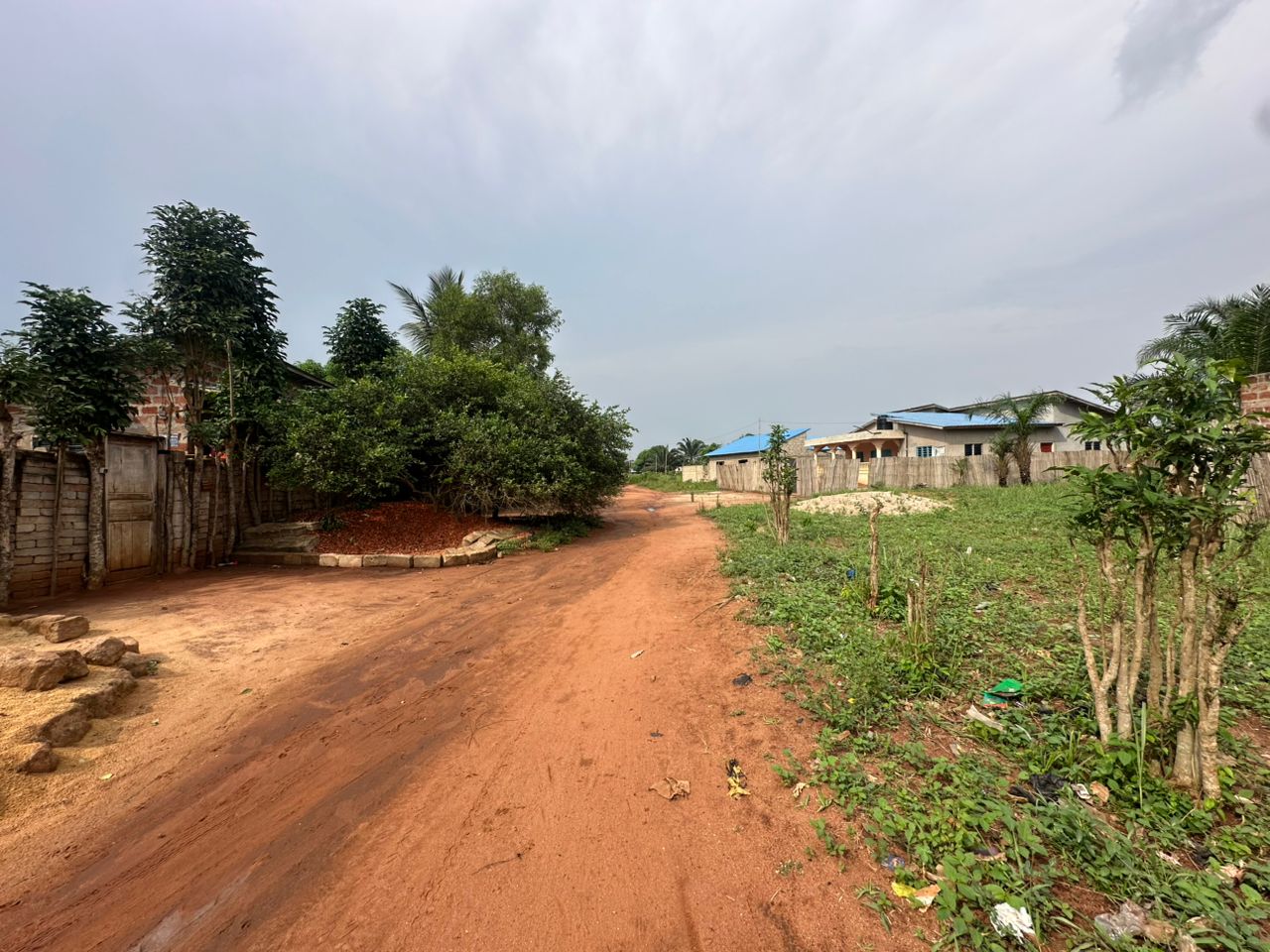 Domaine d'un hectare à vendre à Abomey-Calavi Adjagbo