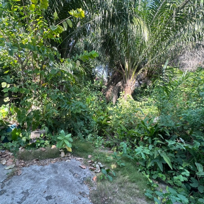 Parcelle à vendre à Cotonou Kouhounou