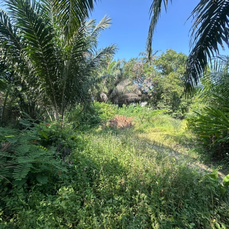 Parcelle à vendre à Cotonou Kouhounou