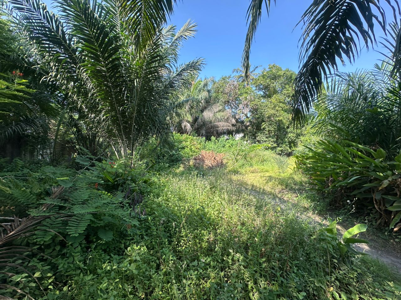 Parcelle à vendre à Cotonou Kouhounou