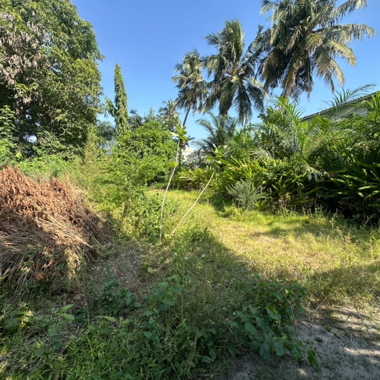 Parcelle à vendre à Cotonou Kouhounou