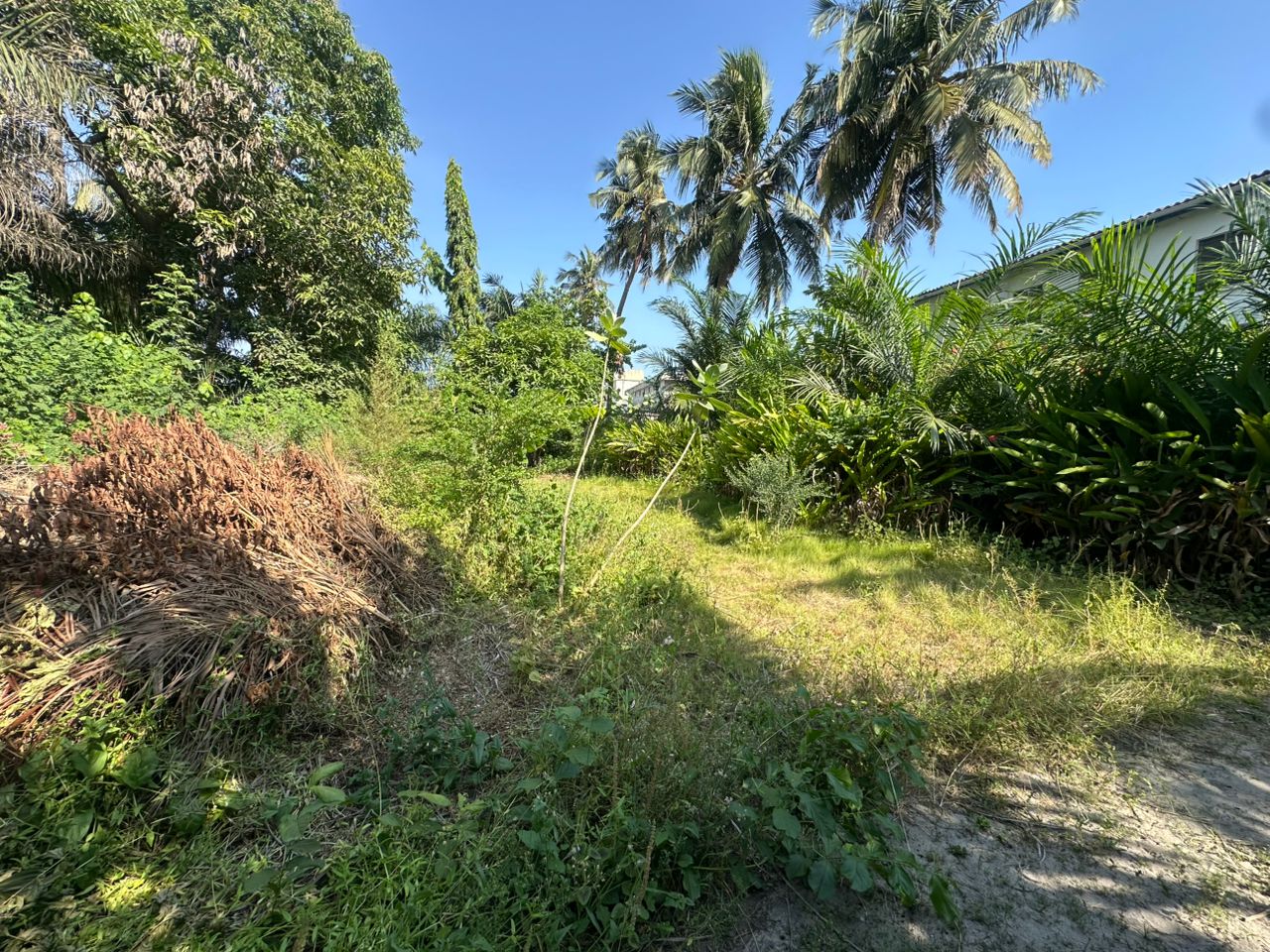 Parcelle à vendre à Cotonou Kouhounou