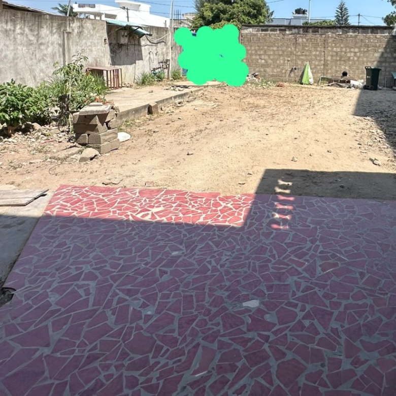 Parcelle bâtie à vendre à Cotonou Gbèdjromindé (2)